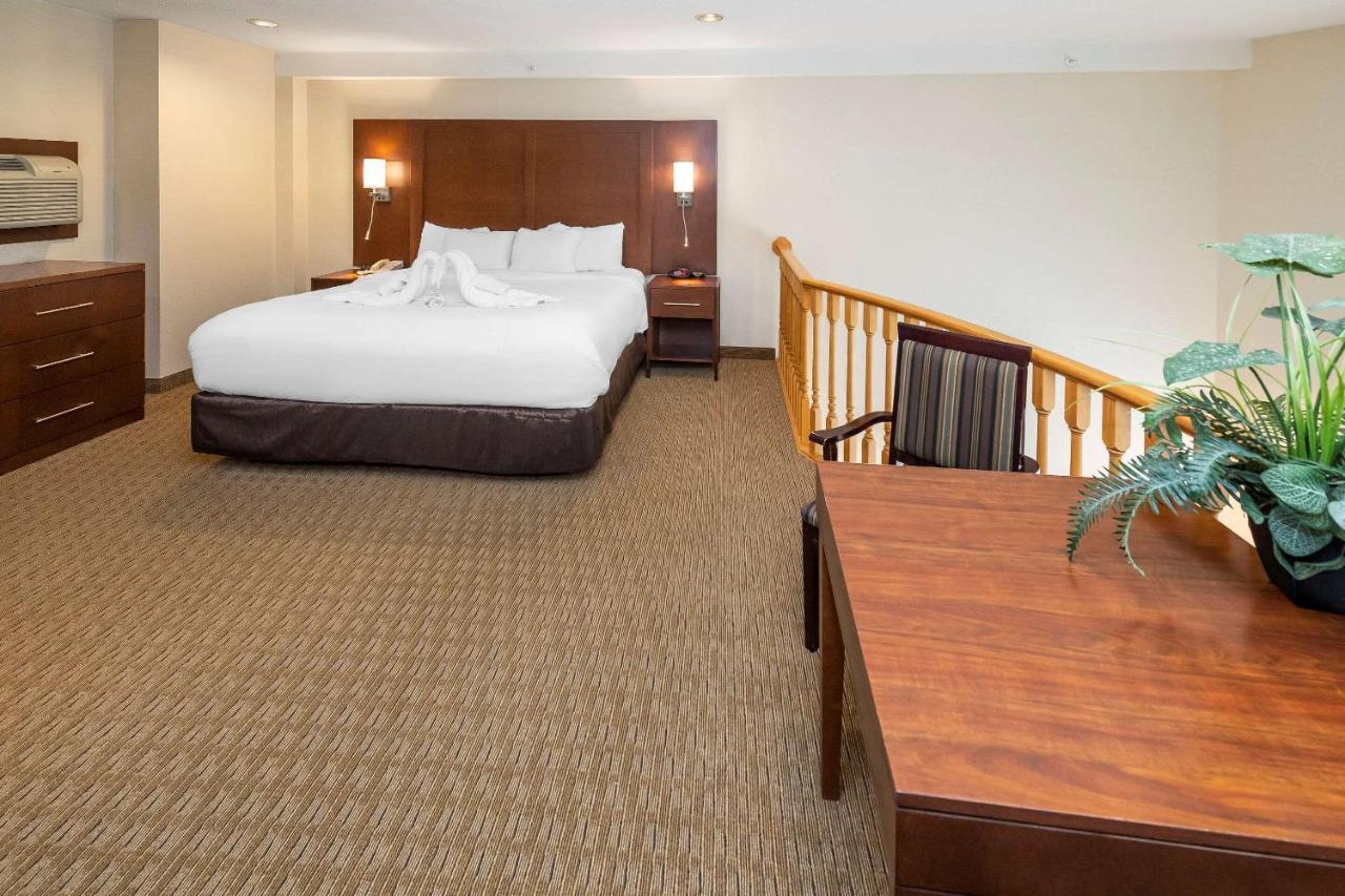 Comfort Inn & Suites Medicine Hat Dış mekan fotoğraf